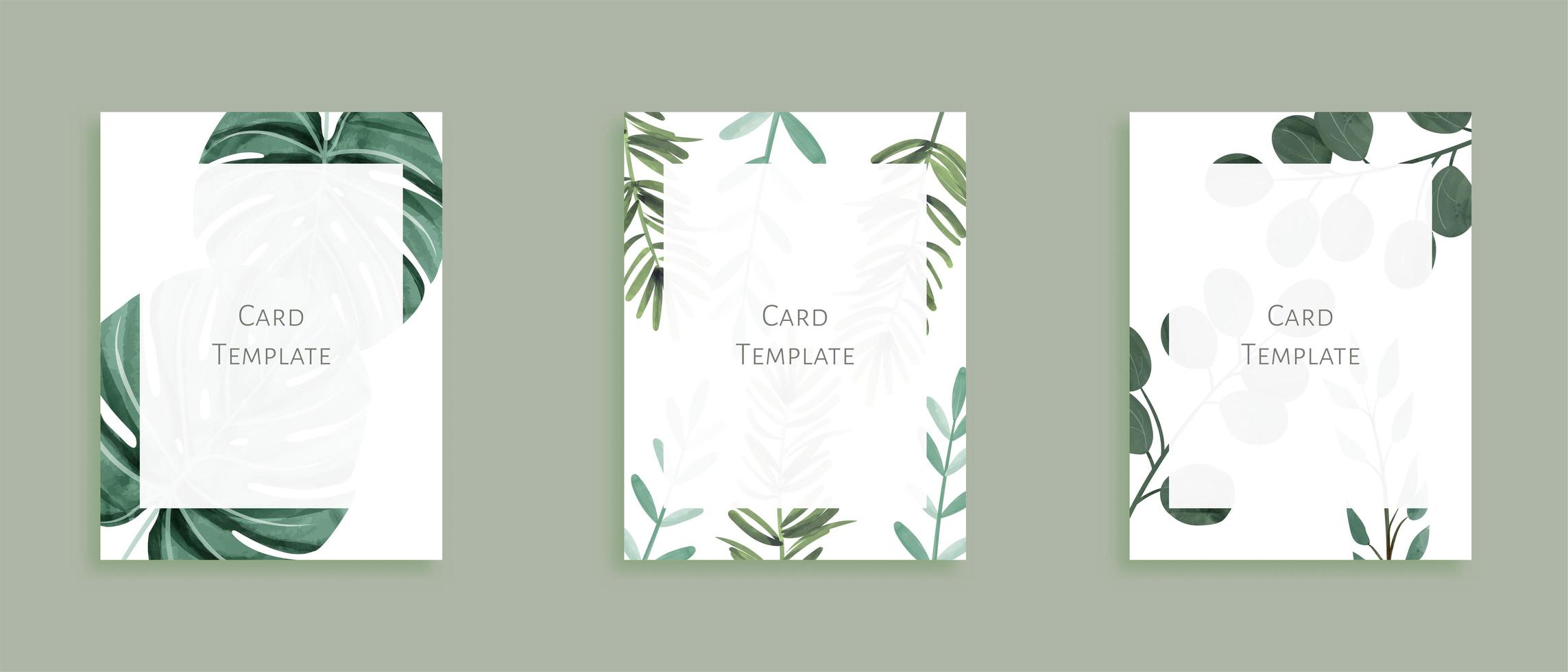 Conjunto de plantillas de tarjetas modernas con hojas silvestres en verde vector