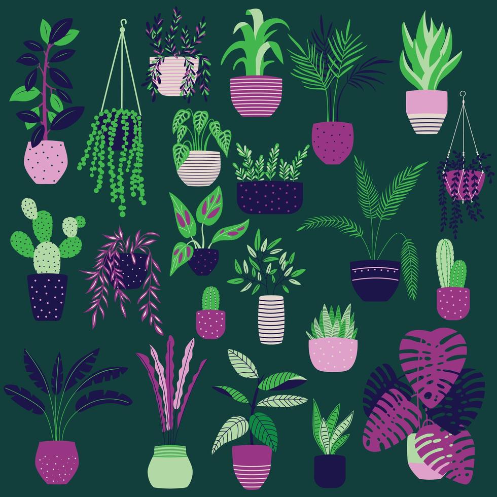 Collection of hand drawn indoor house plants on dark green background vector