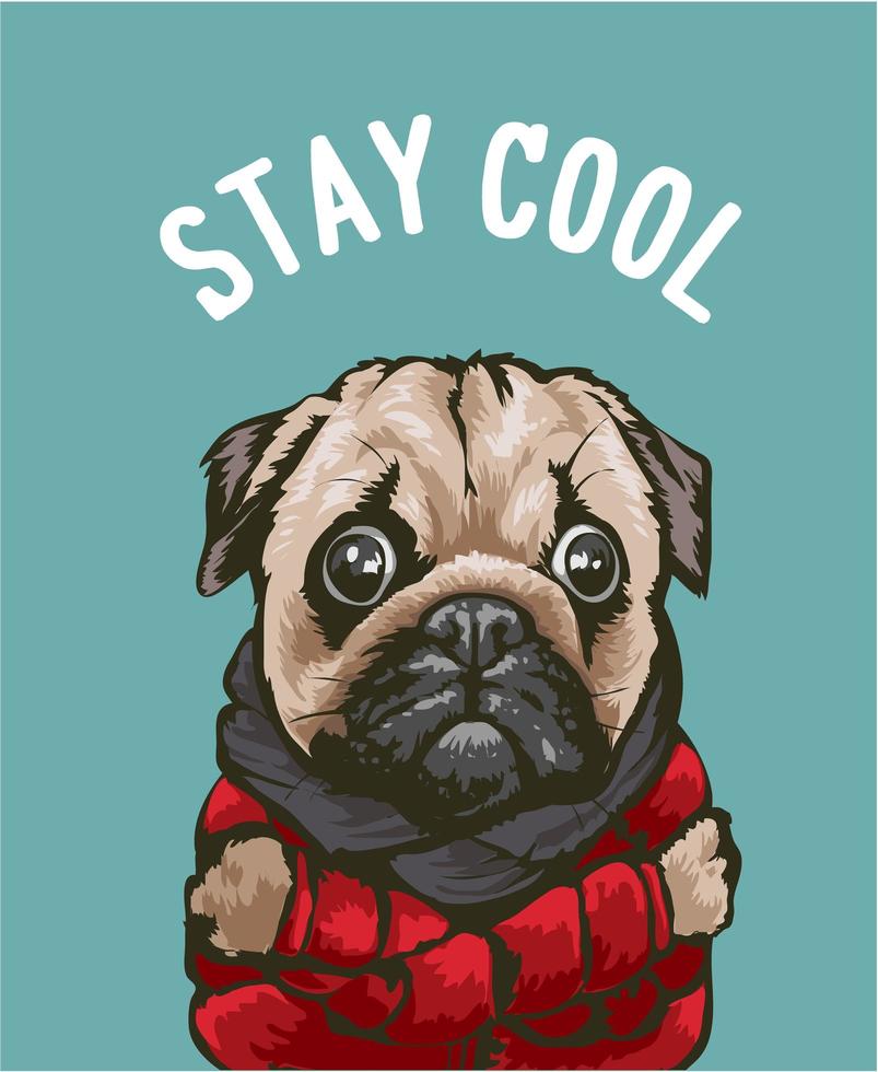 Stay Cool lema con perro de dibujos animados en chaqueta roja vector