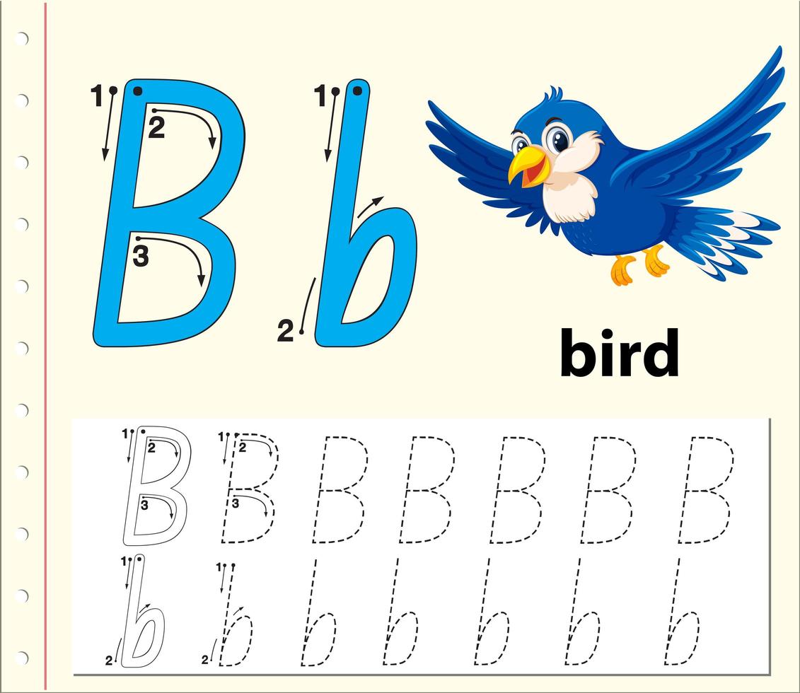 Trace the letter B template vector