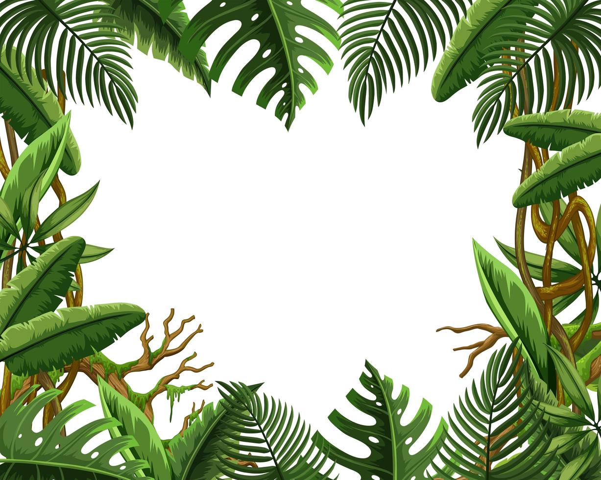 Blank jungle leave frame vector