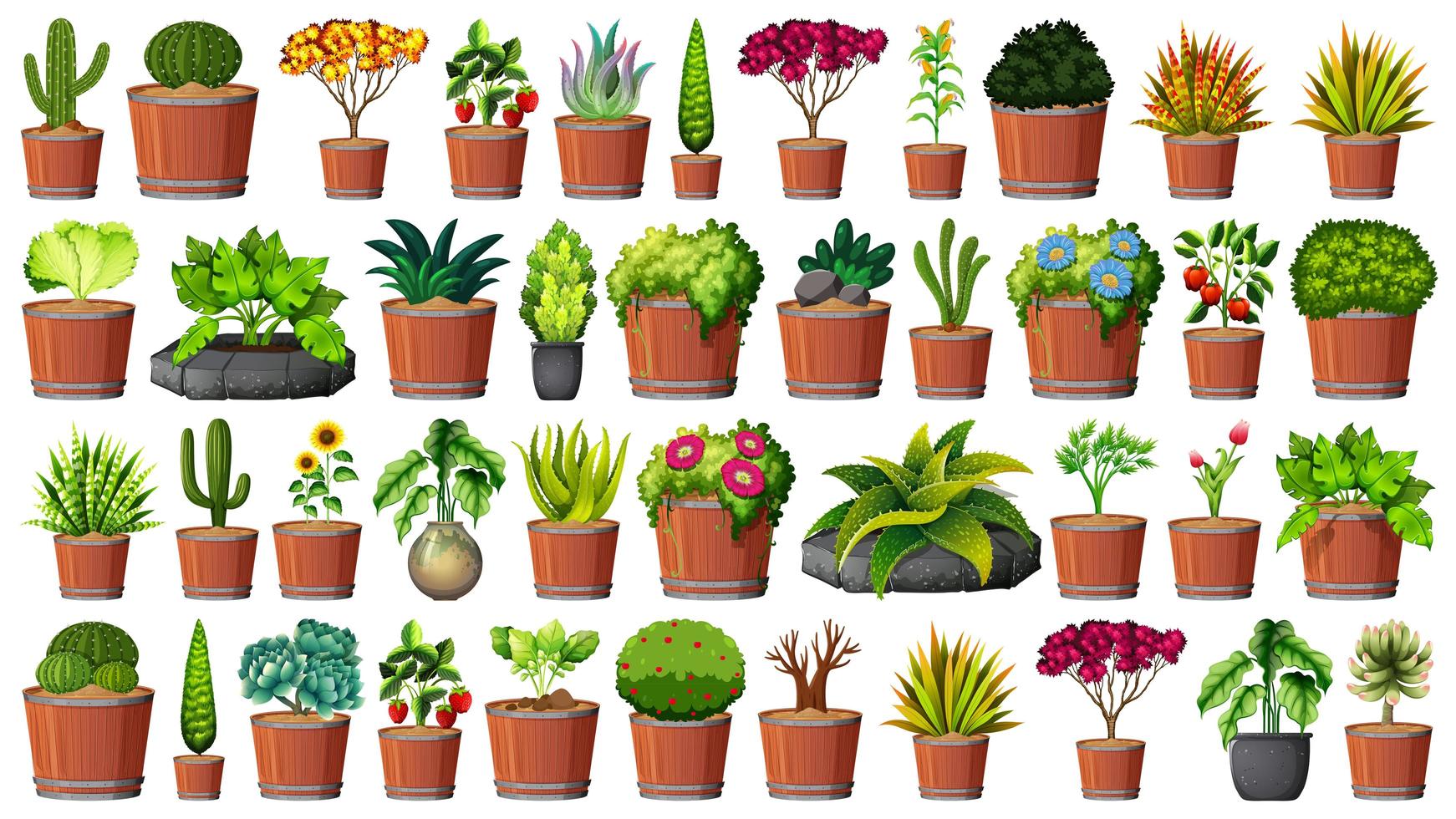 Collection of potted plants on white vector