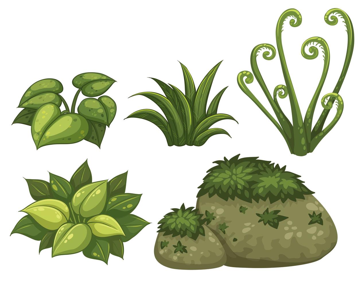 Set of jungle elements vector