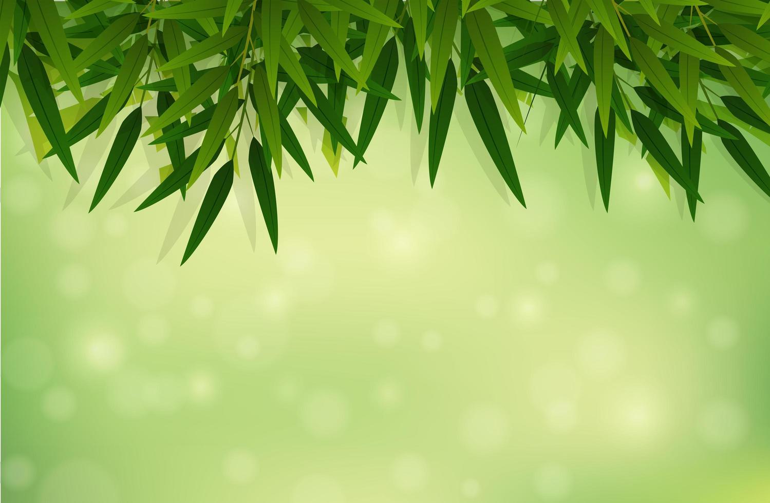 A green bamboo leaf background vector