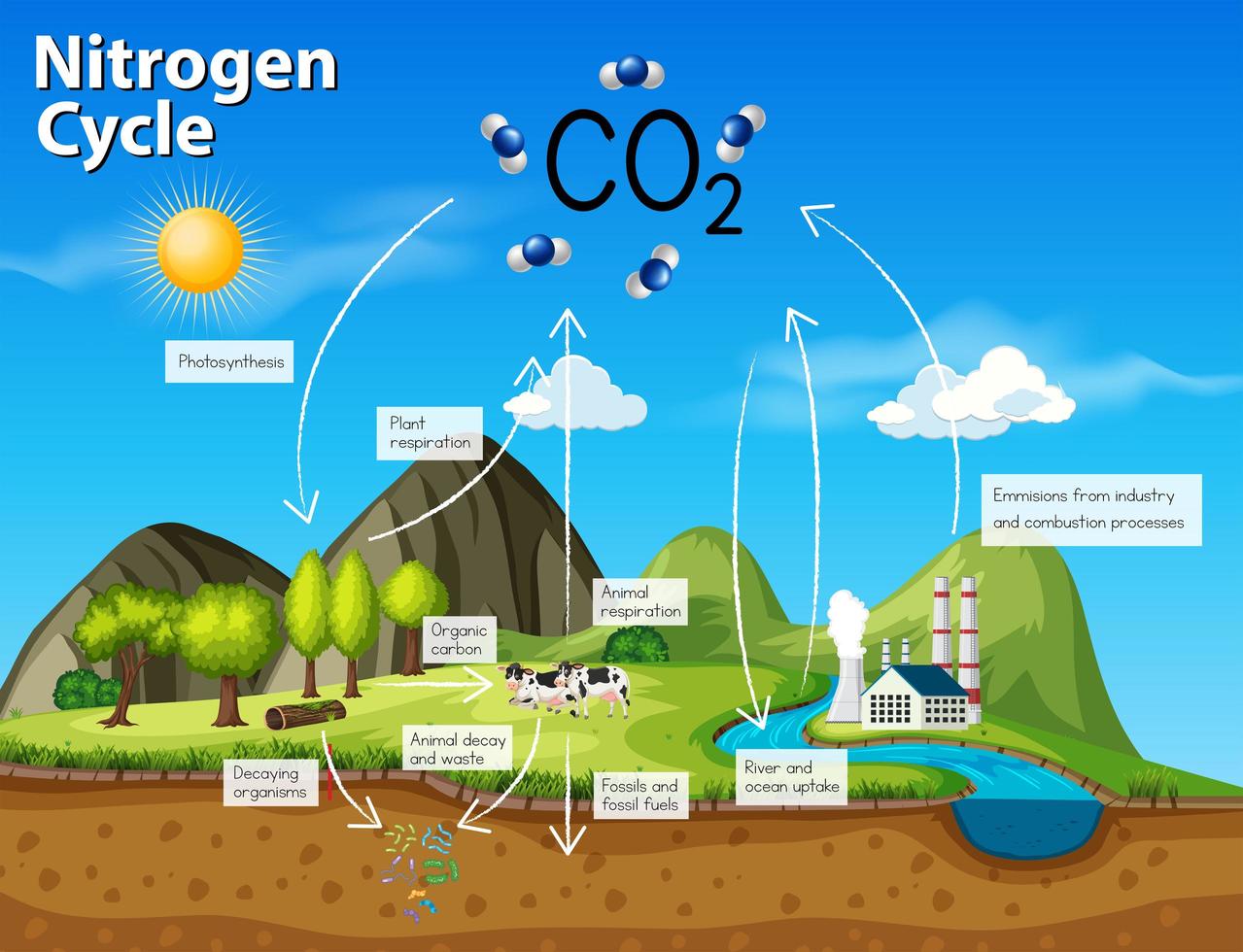 Ciencia ciclo del nitrógeno CO2 vector