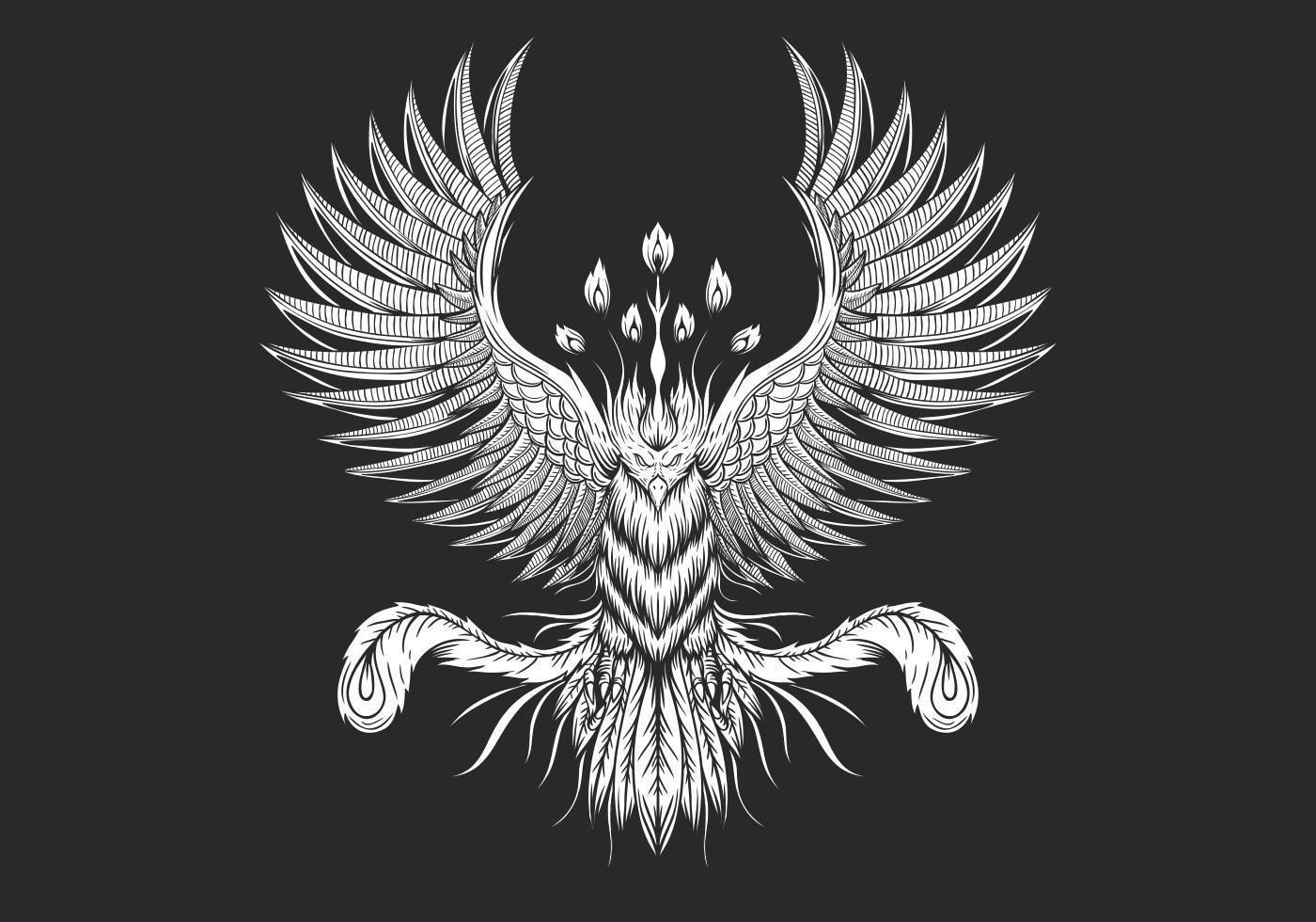 Phoenix Bird design vector