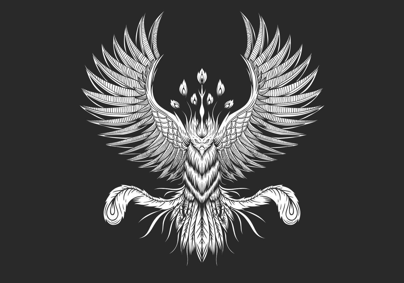 Phoenix Bird design vector