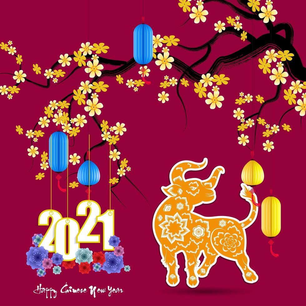 Chinese new year 2021 year with apricot blossoms and Ox vector