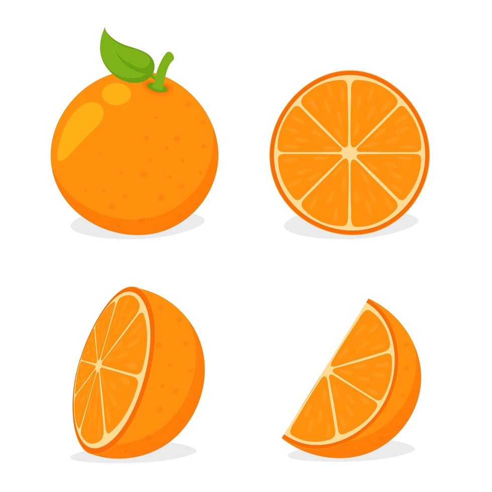 Sliced Orange Set vector