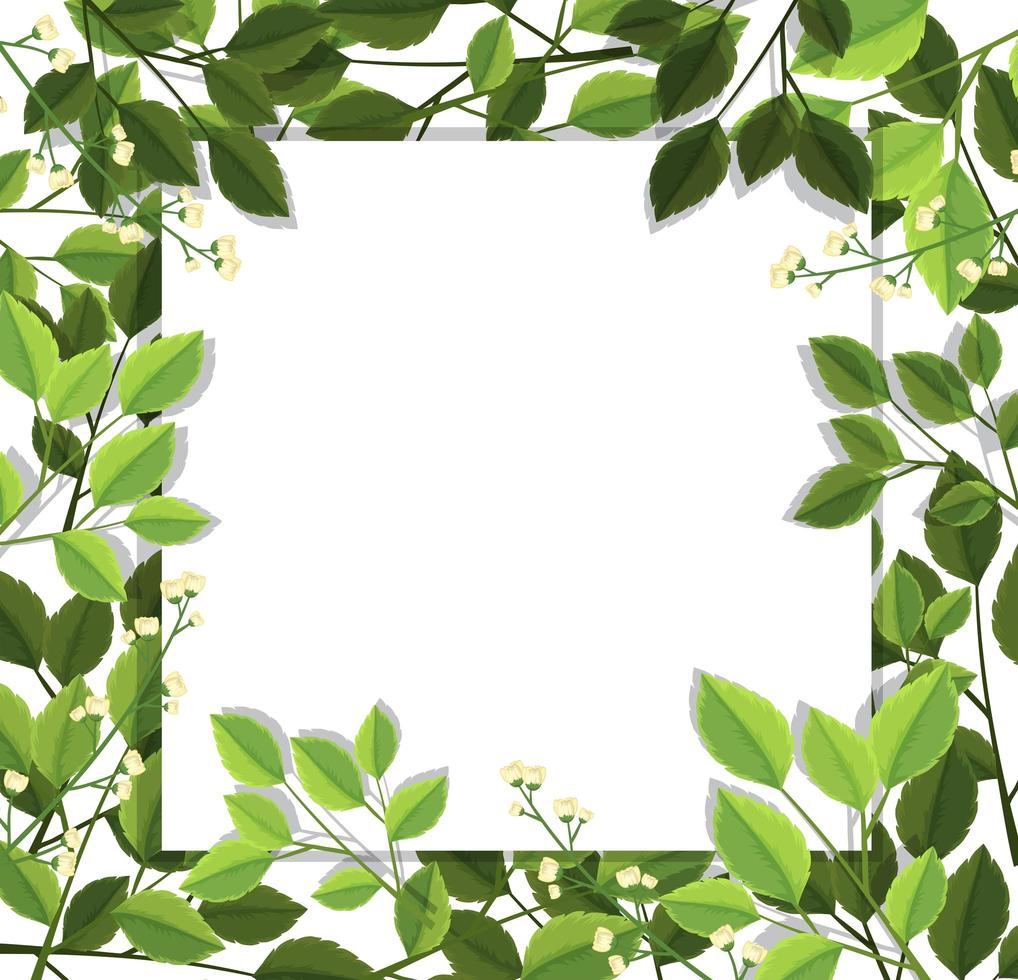 Beautiful green leaf border vector