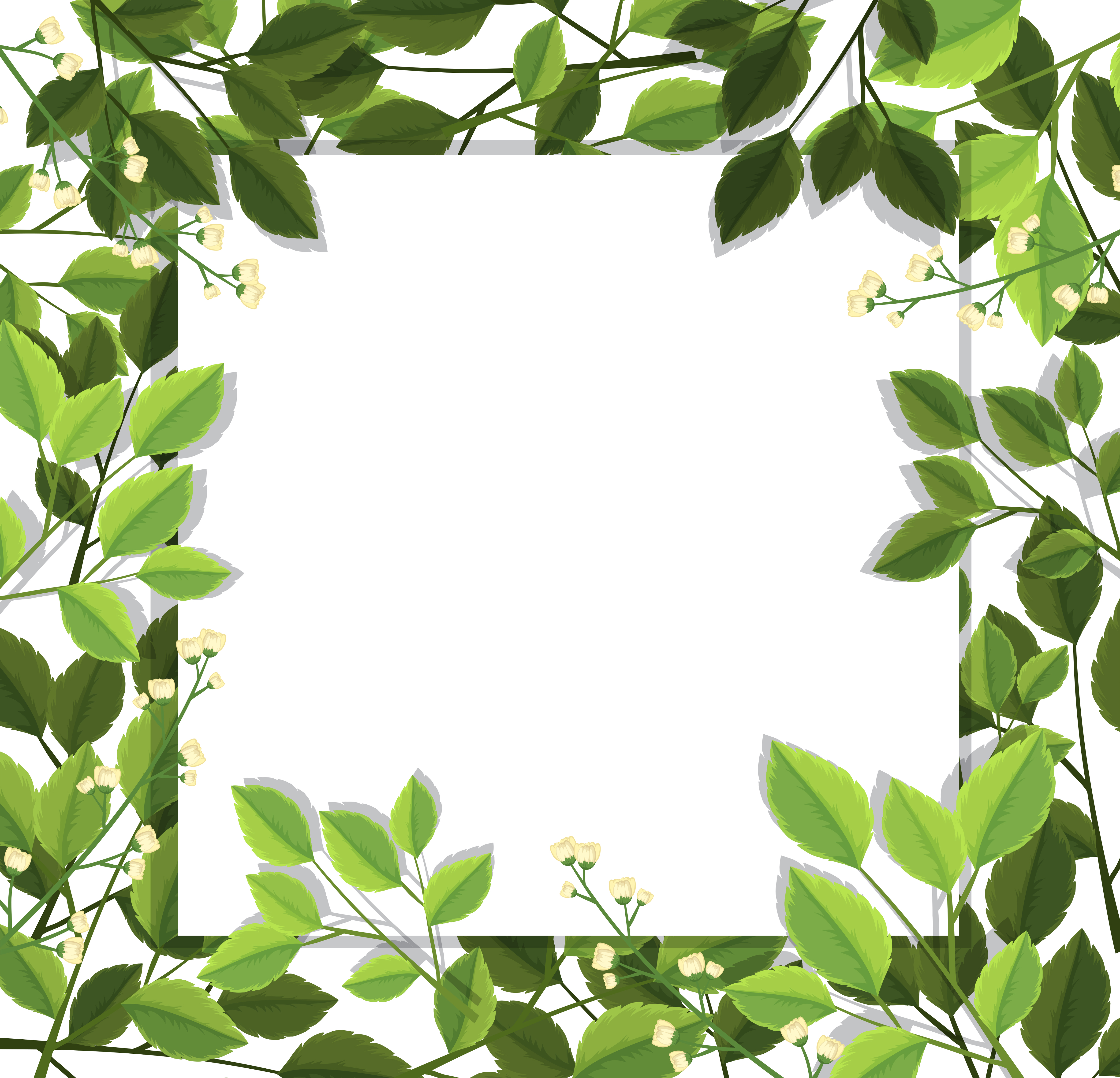 beautiful-green-leaf-border-696988-vector-art-at-vecteezy