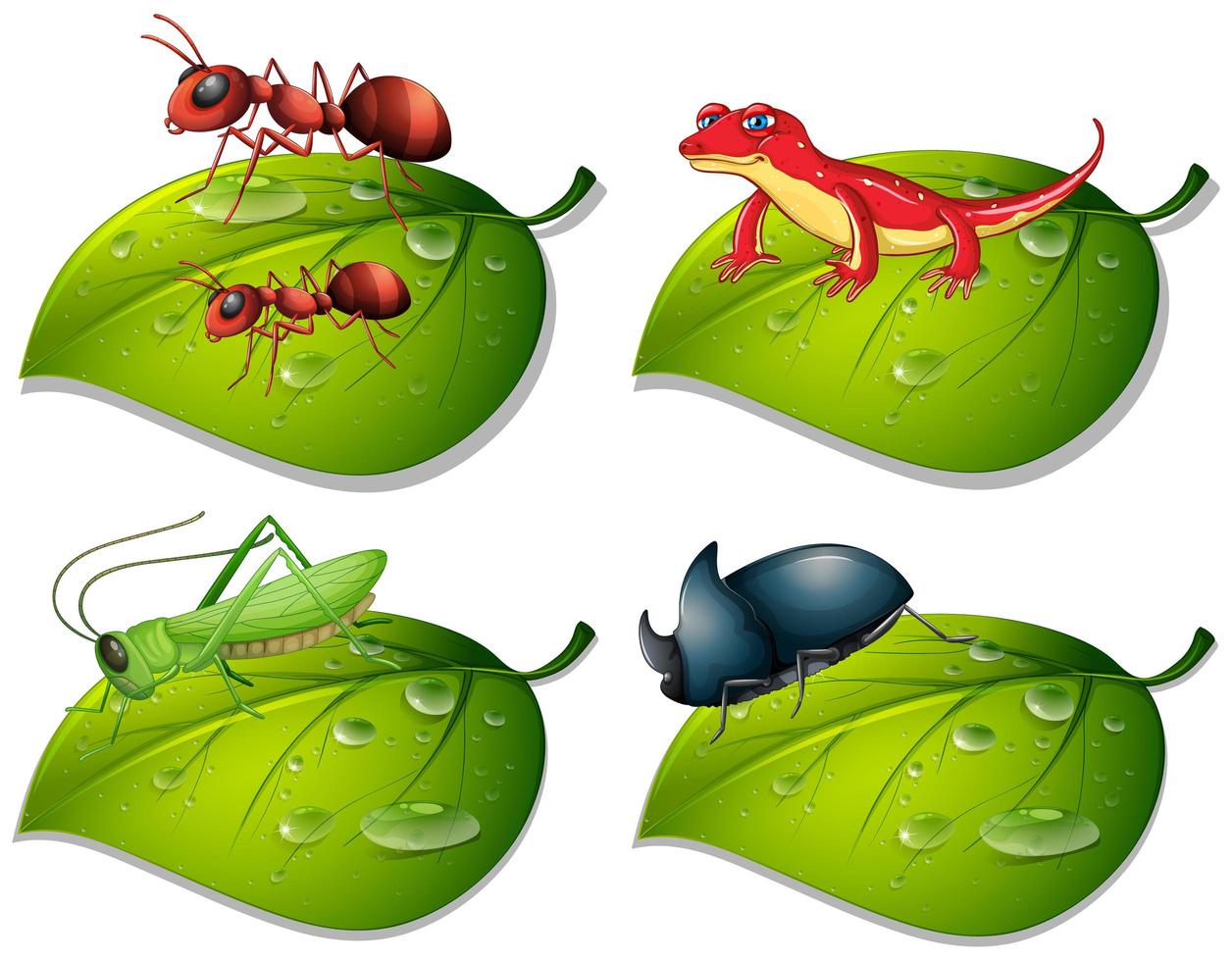 Four types of insects on green leaves vector