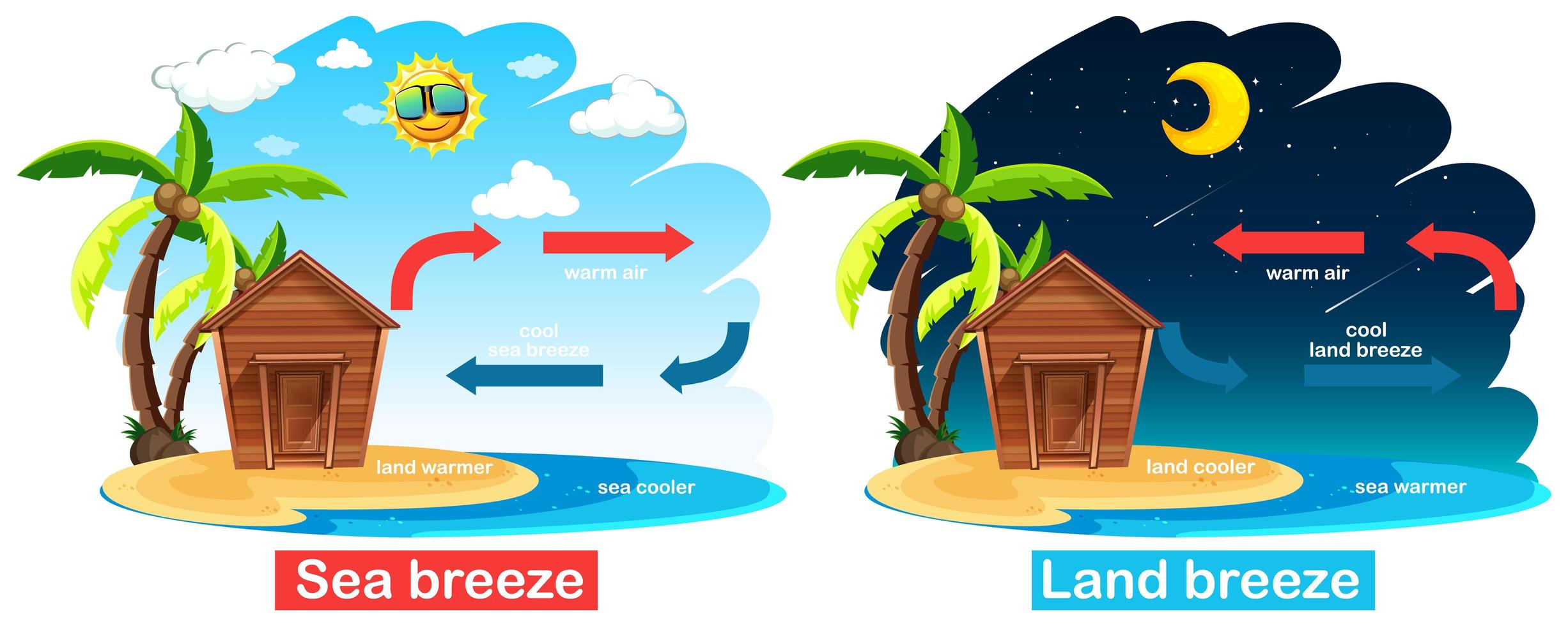 diagrama que muestra la circulación de la brisa marina y terrestre vector