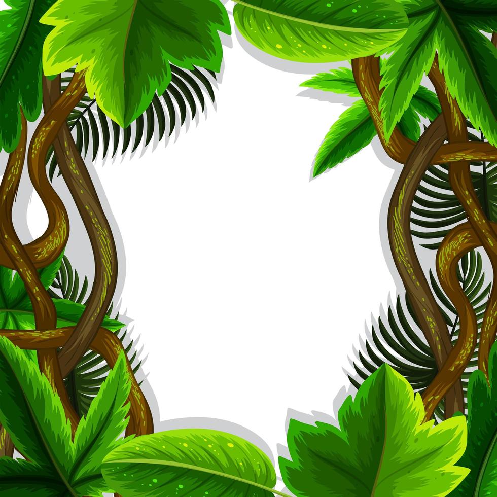 jungle leaves frame concept vector