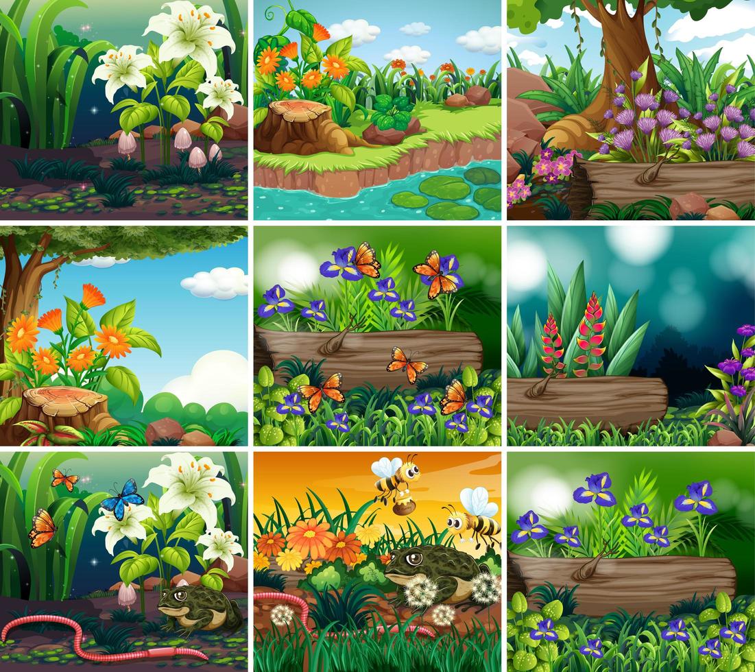 Set of background scene with nature theme vector