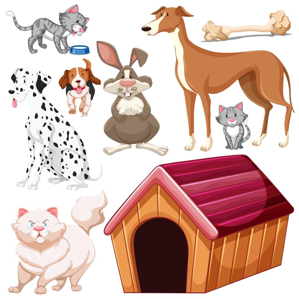 Set of isolated different pets vector