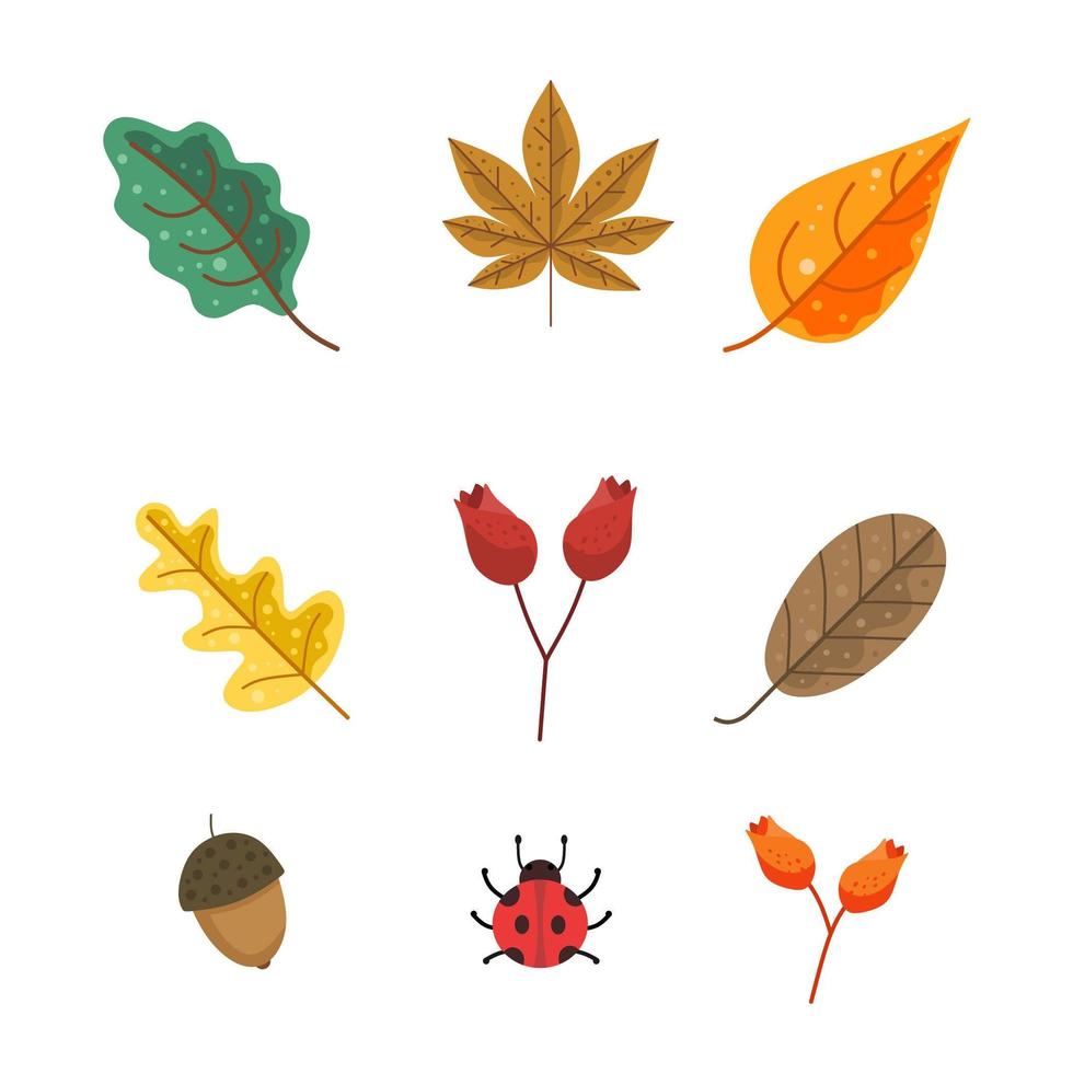 paquete de hojas de otoño vector