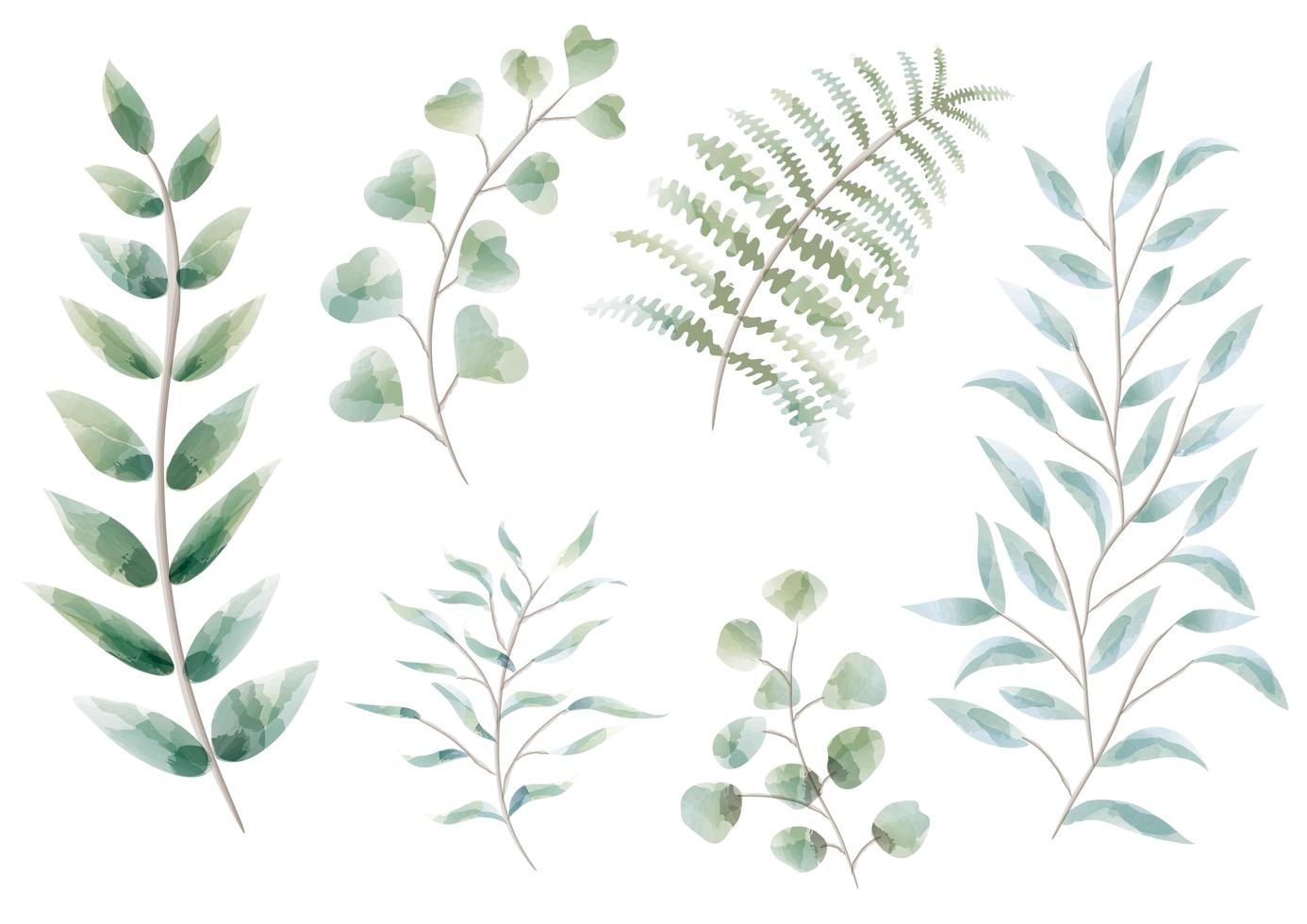 Set of Watercolor Botanical Elements  vector