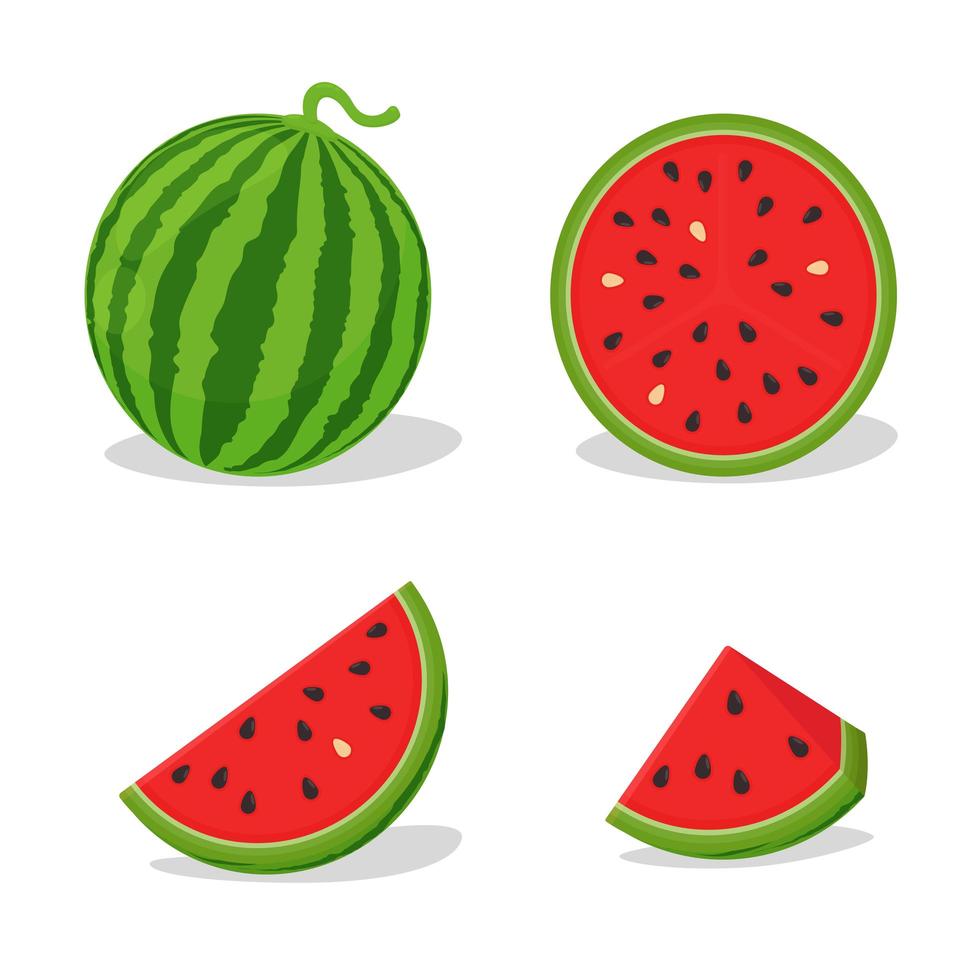 Set of watermelon pieces and shapes vector