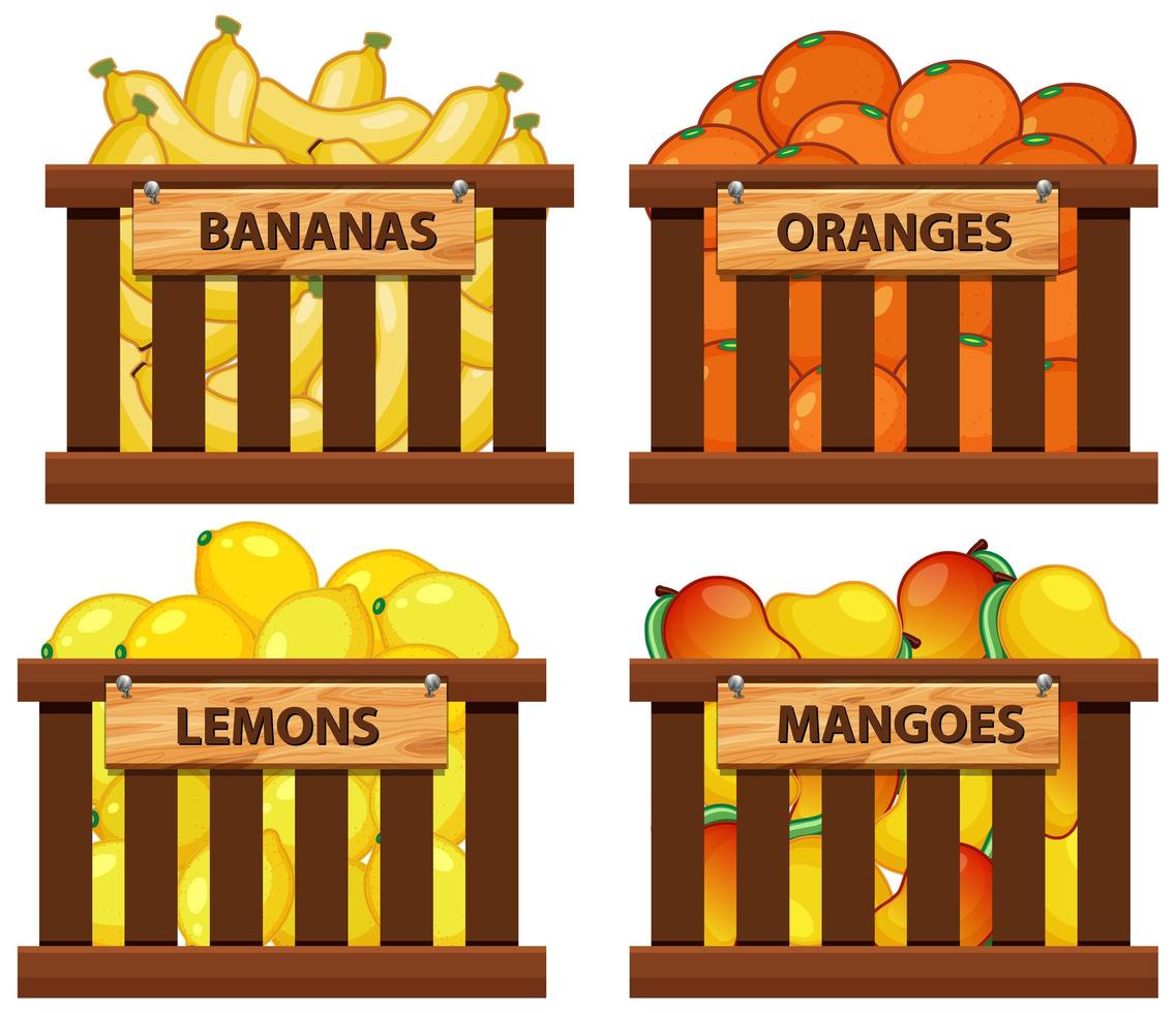 conjunto de cesta llena de frutas vector