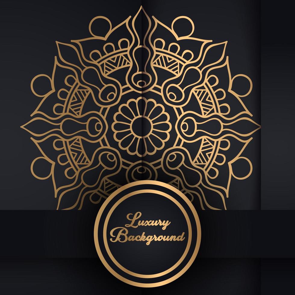 Black and gold  mandala pattern vector