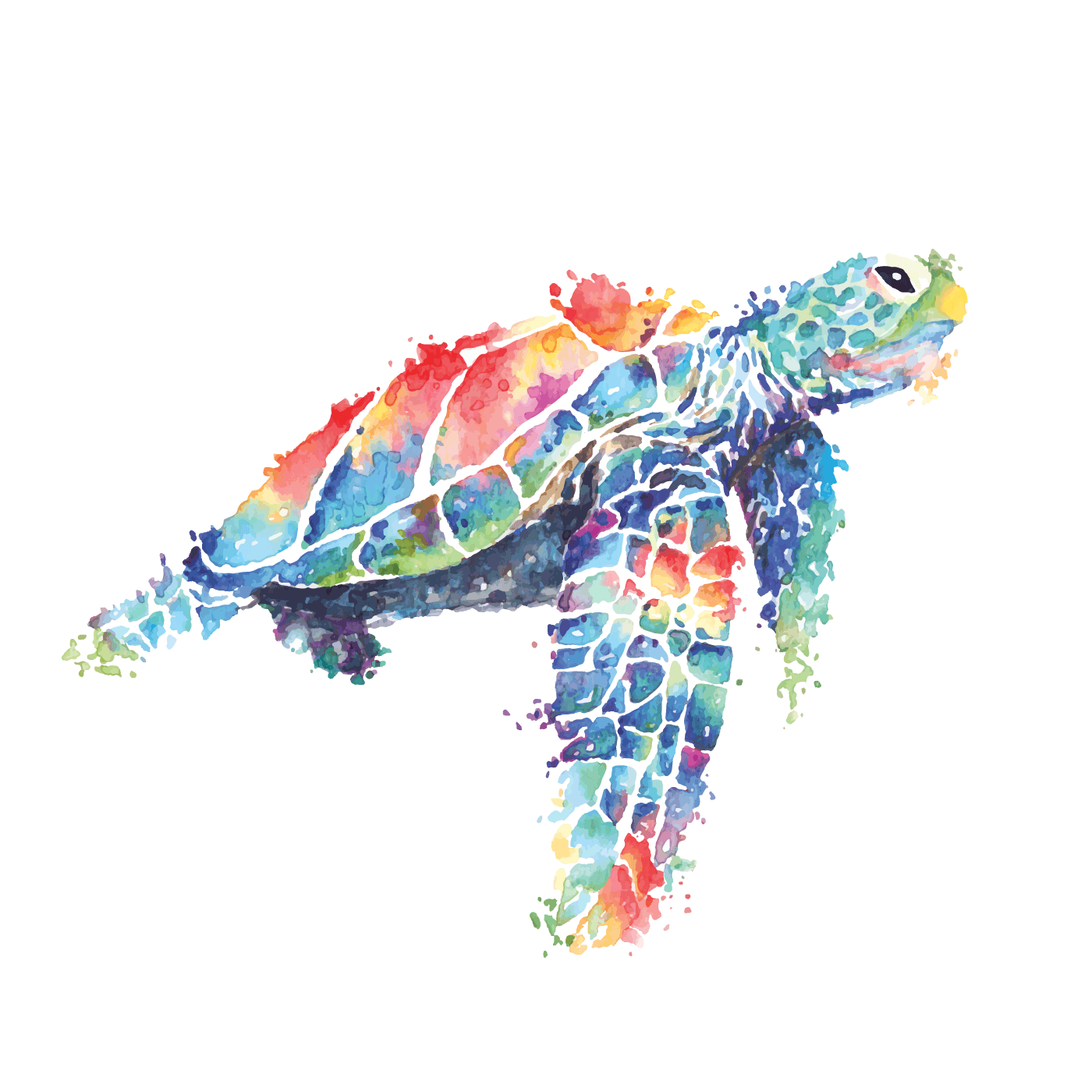Download Sea turtle painted in watercolor - Download Free Vectors ...