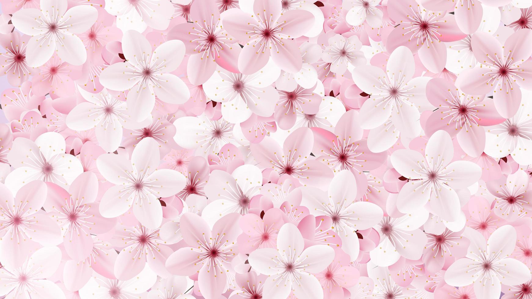 Blossoming pink sakura flowers background vector