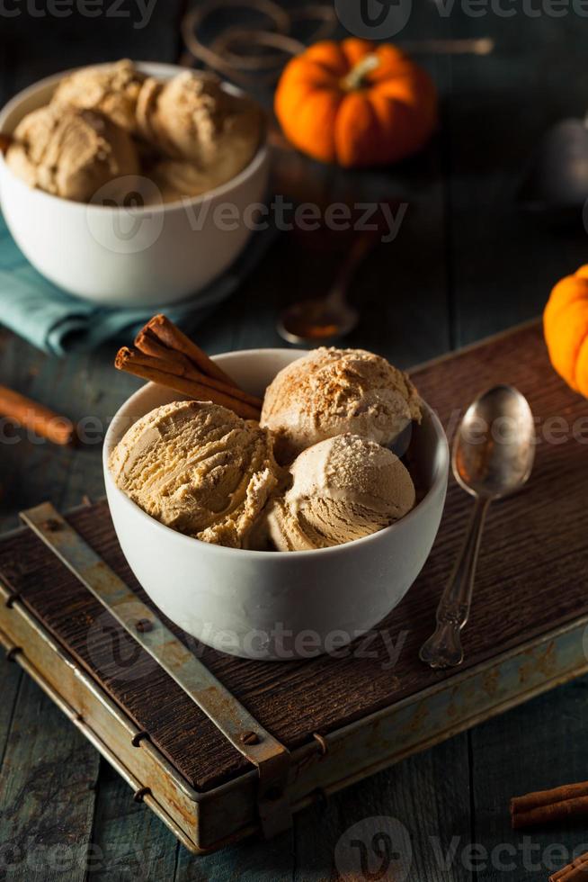 Homemade Pumpkin Pie Ice Cream photo
