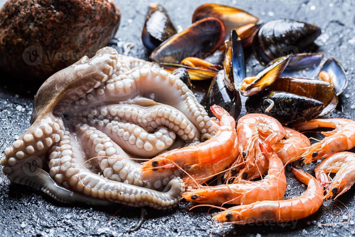 Three kinds of fresh seafood photo