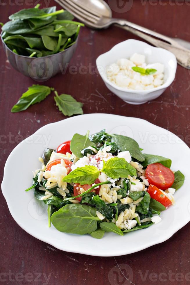 Pasta salad with orzo, spinach and feta photo