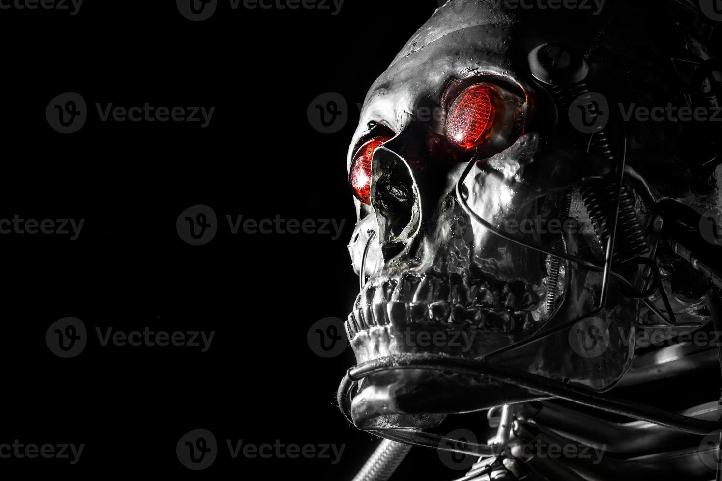Skull of a human size robot photo