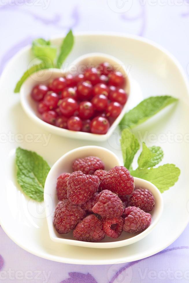 Fresh raspberries and red currant photo