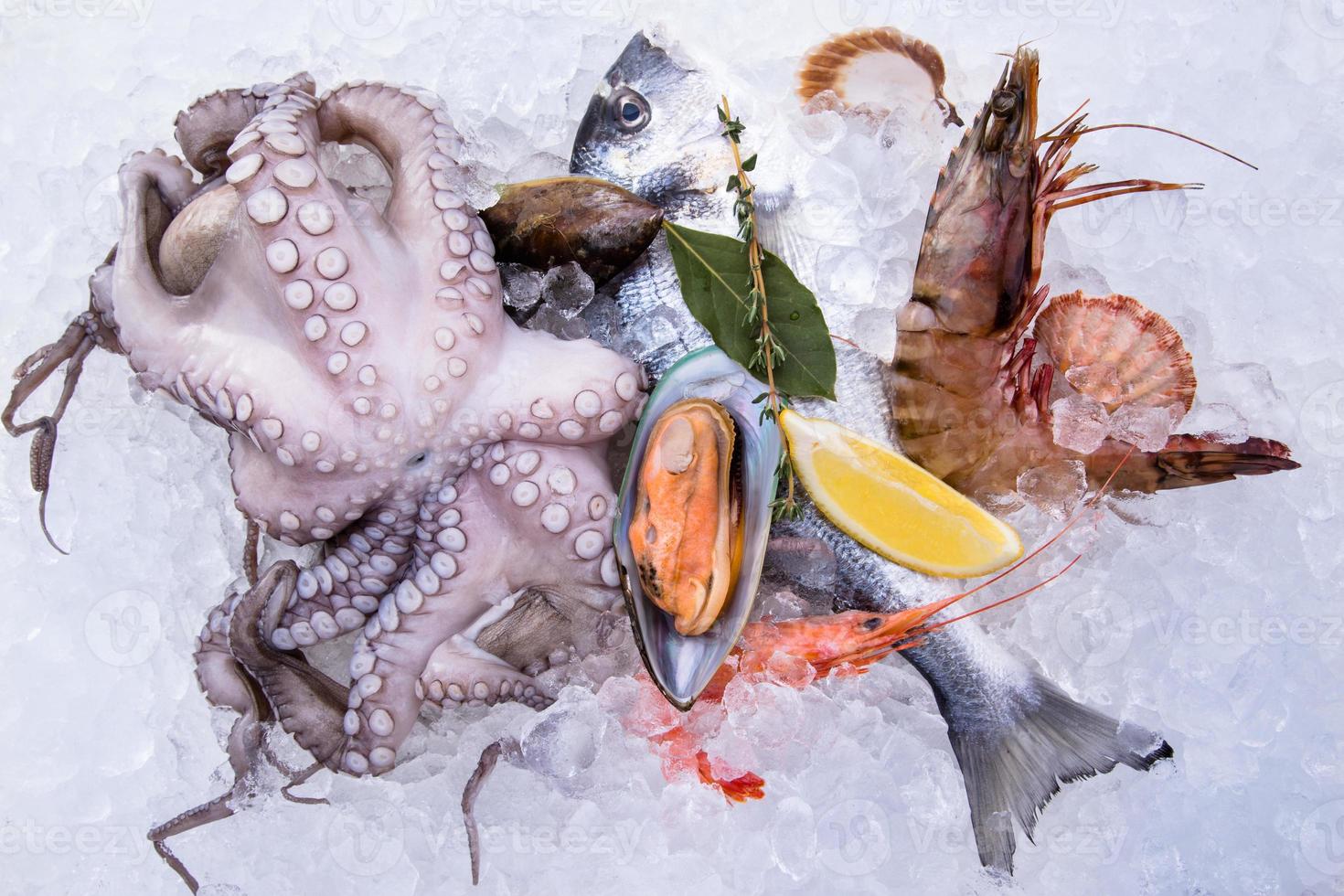 Fresh seafood on ice photo