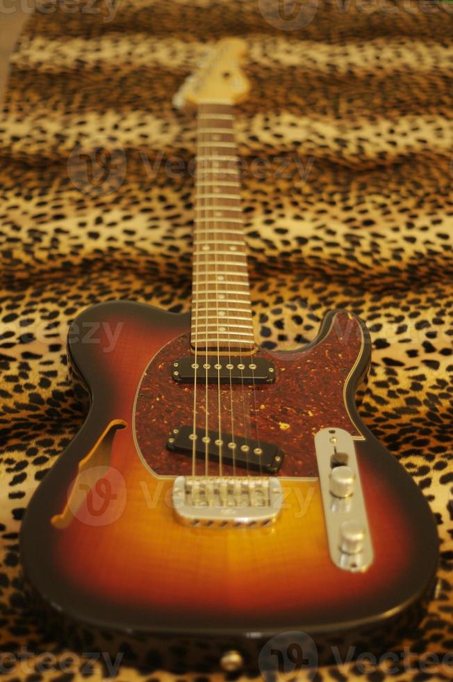 guitarra leopardo foto