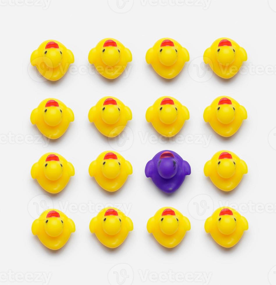 Collection of yellow rubber ducks photo