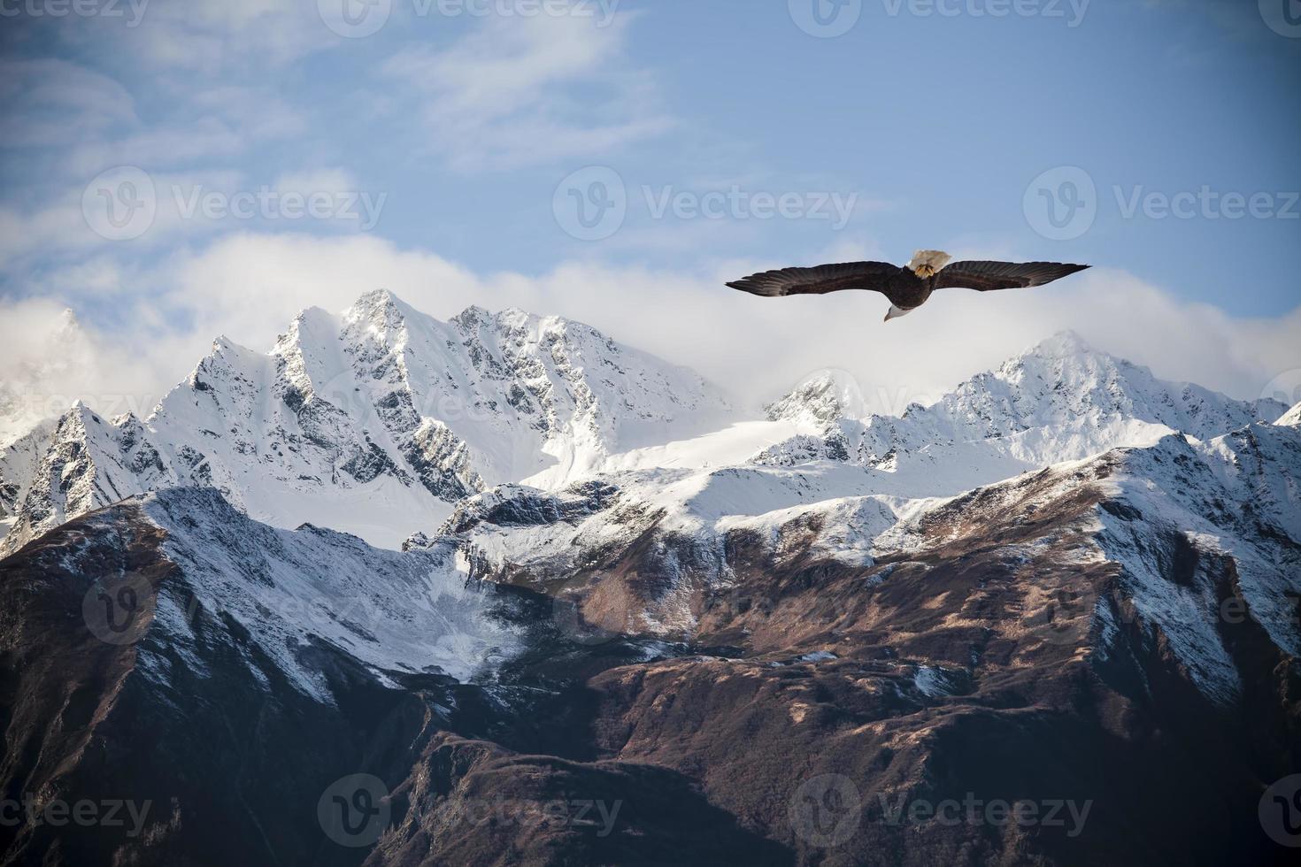 Alaskan mountains with flying eagle. photo