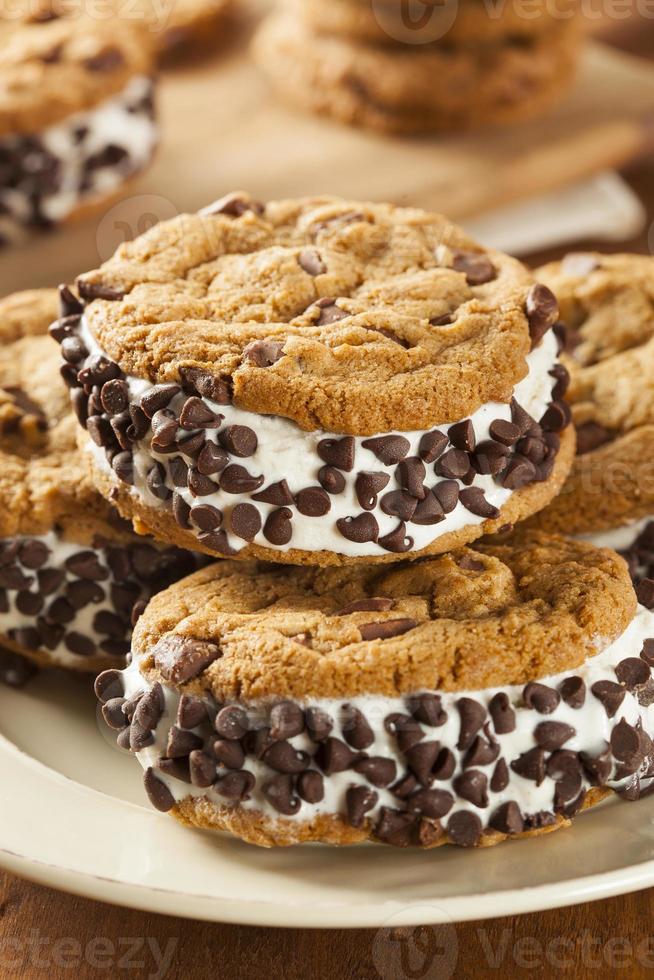 Ice cream sandwich made with two cookies photo