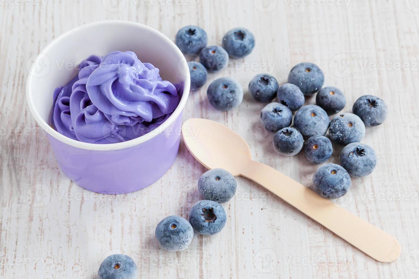 Frozen creamy ice yoghurt  with whole blueberries photo