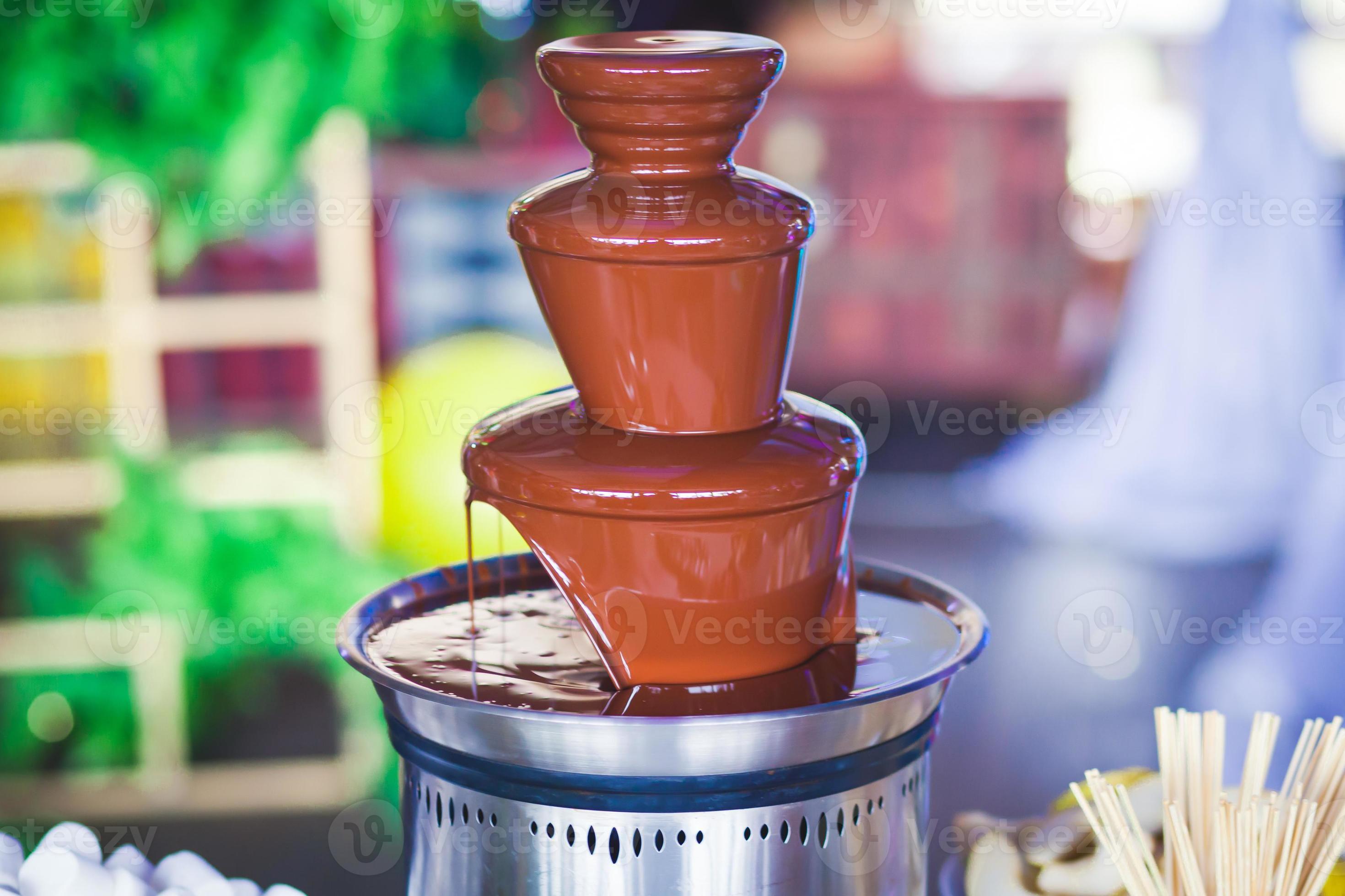 Chocolate Fountain With Fondue, Fruits and Marshmallow on children