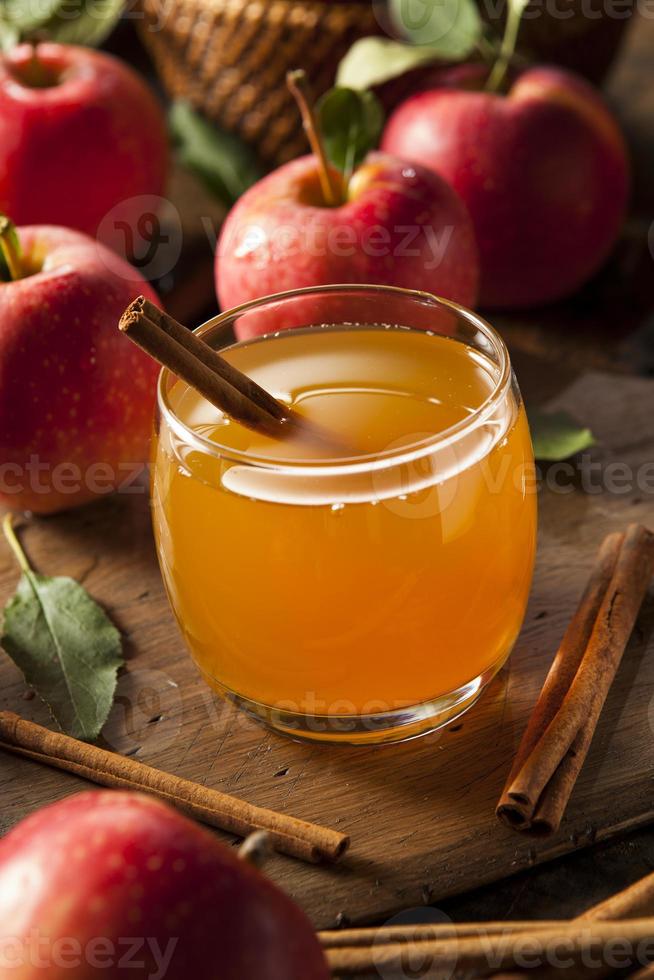 Organic Apple Cider with Cinnamon photo