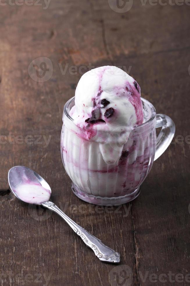 blueberry yogurt ice cream photo