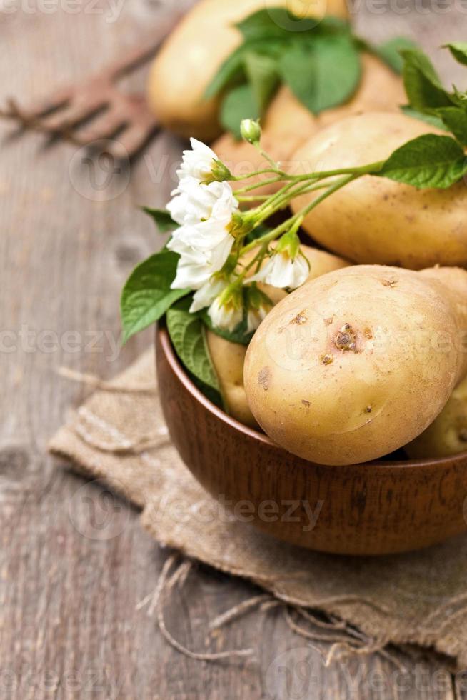 potatoes photo