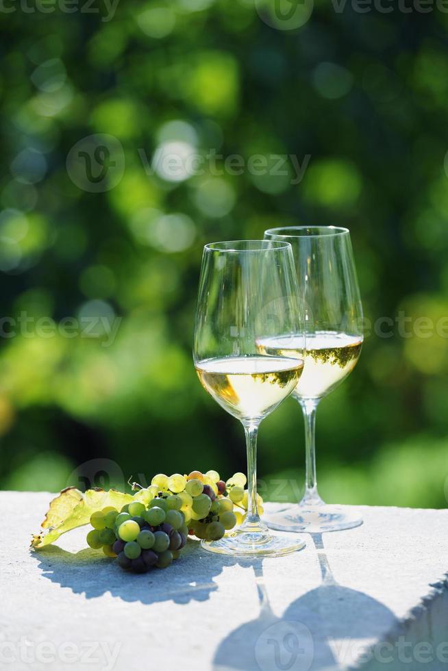 Two glasses of white wine in vineyard photo