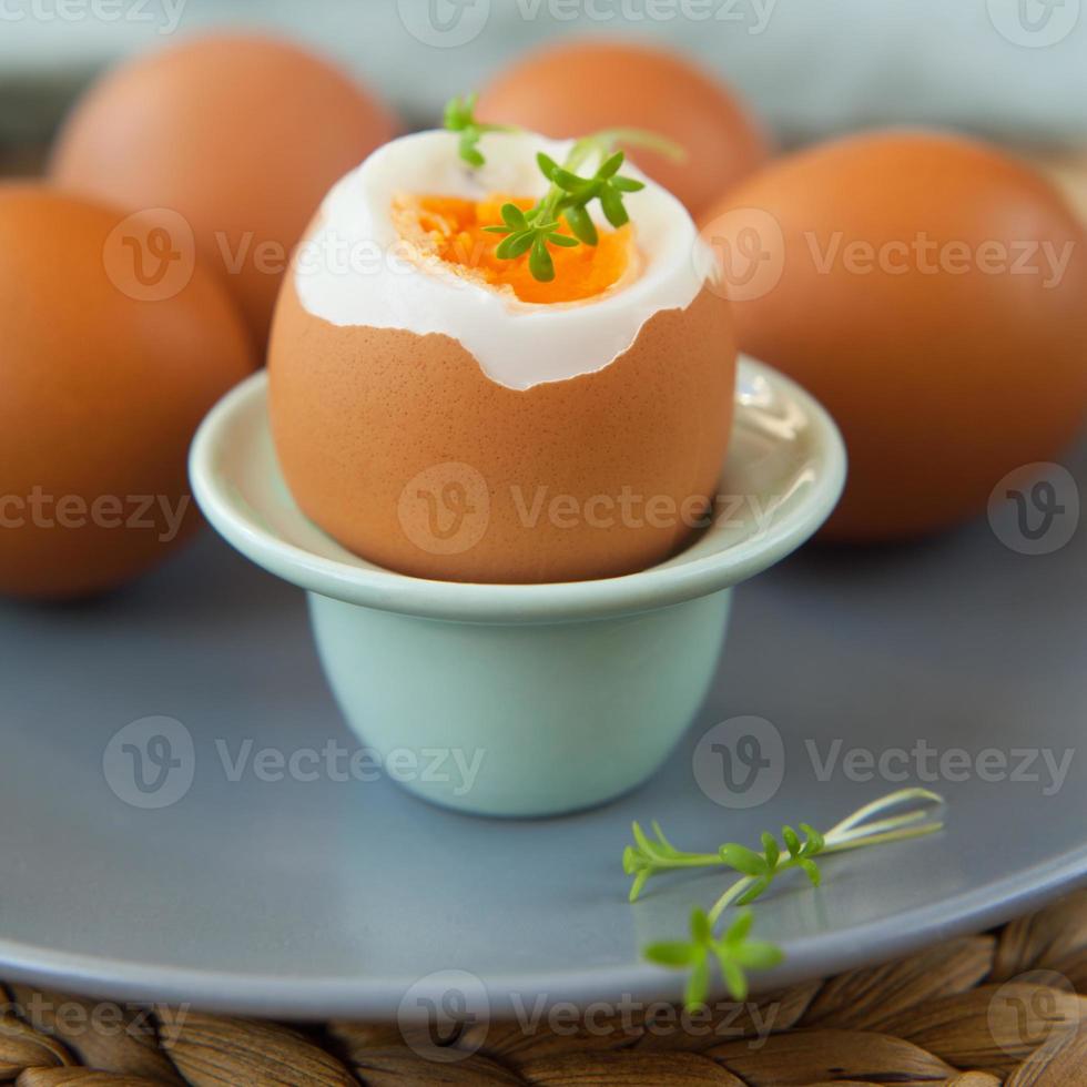 pascua huevos cocidos con hierba fresca foto