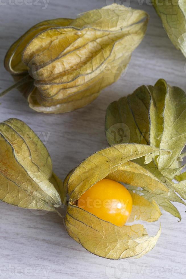 Physalis on a white wood background photo