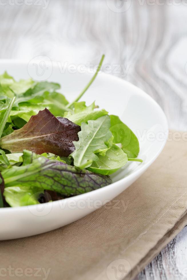mesclun mix salad in white bowl photo
