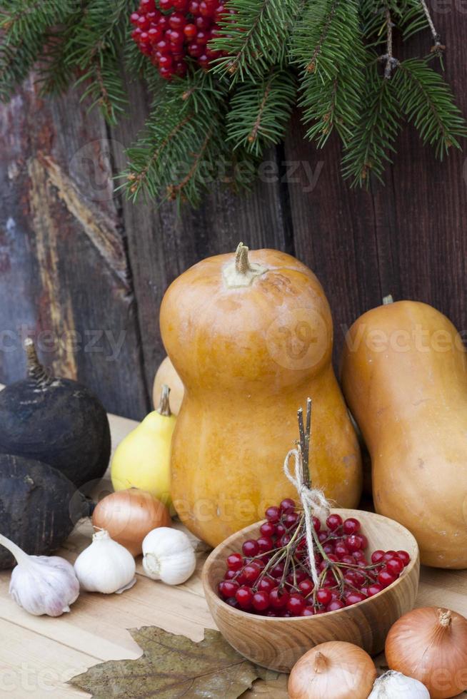 Autumn still life with pumpkins and autumn berry and vegetables photo