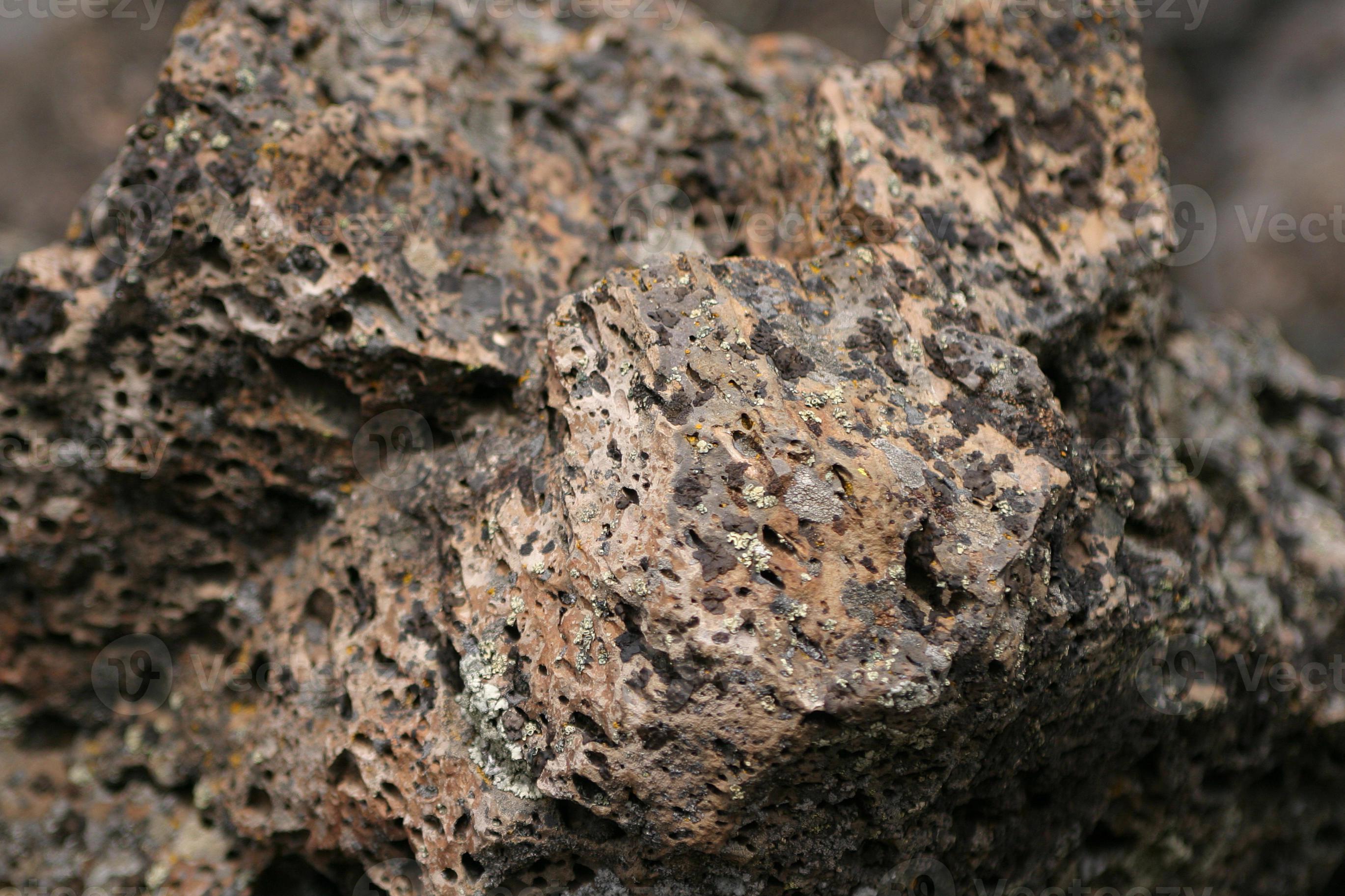 Porous Volcanic Rock with Lichens 739155 Stock Photo at Vecteezy