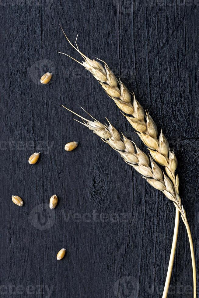 Wheat ears and seed on black wood photo