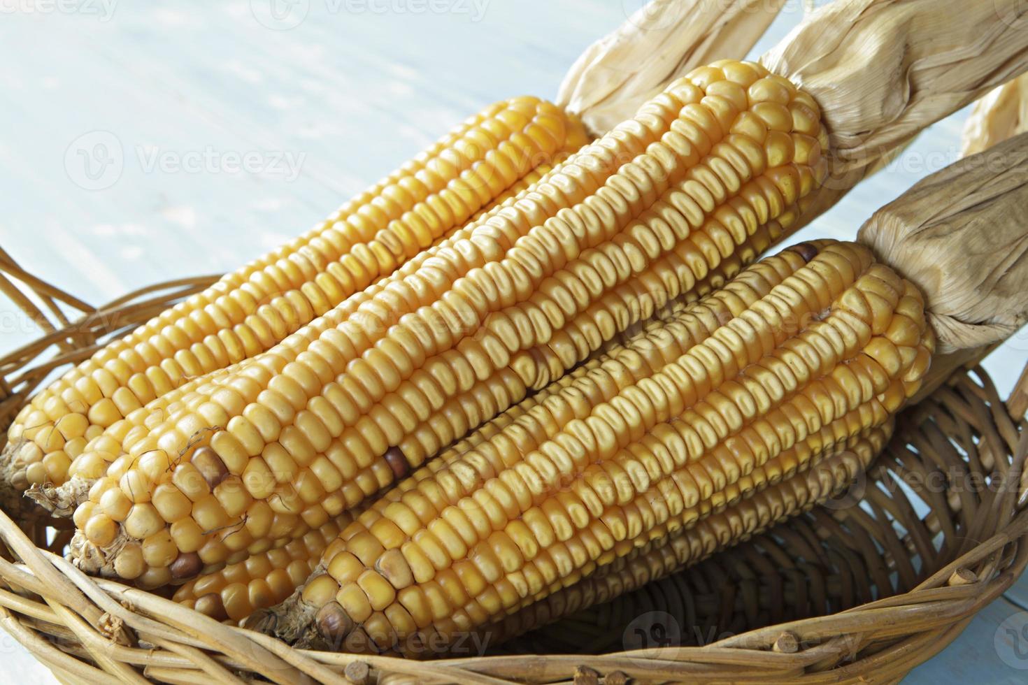 Dried corn in basket photo